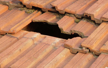 roof repair Edginswell, Devon