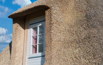 Edginswell thatch roof disadvantages